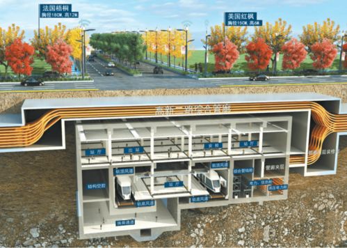 市政道路主干道順利竣工，城市發(fā)展再添新動力
