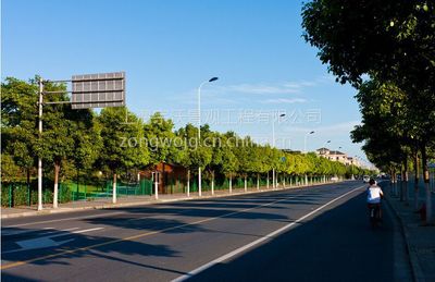 融合生態與都市 上海道路綠化工程施工與景觀設計深度解析